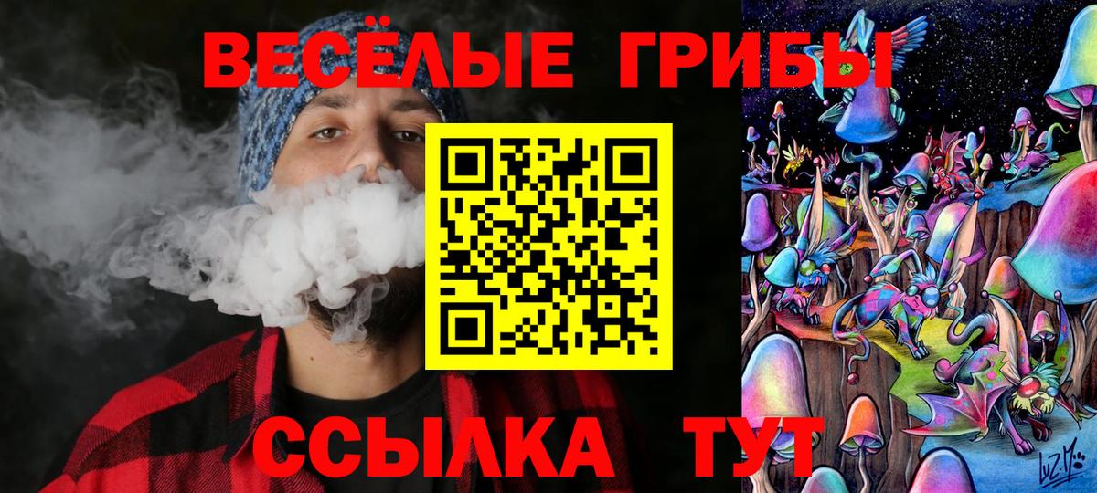 Псилоцибиновые грибы Cubensis Туймазы