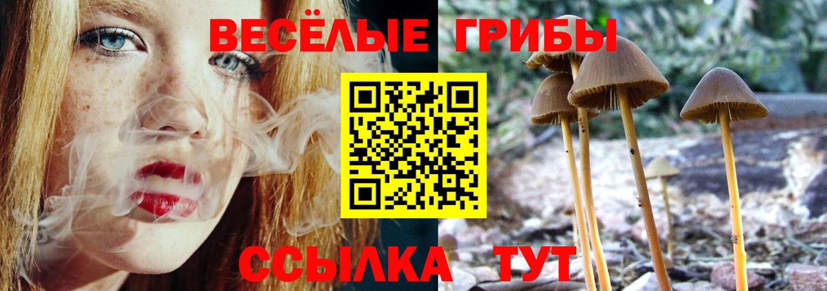 Псилоцибиновые грибы прущие грибы  Псилоцибиновые грибы Psilocybine cubensis  Туймазы  Вход с VPN 